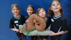 Bild8